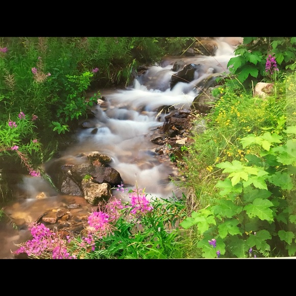 Meet your Posher, Vanessa - Picture 1 of 1